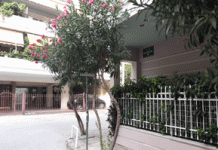 «Ενάργεια»: Παρεμπόδιση της θέας των πινακίδων κατακόρυφης σήμανσης από φυτά