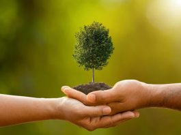 Μερικές σκέψεις, για τον Υμηττό. Του Βασίλη Παπαστεργιόπουλου