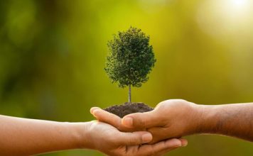 Μερικές σκέψεις, για τον Υμηττό. Του Βασίλη Παπαστεργιόπουλου