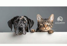 Παγκόσμια Ημέρα ζώων 4 Οκτωβρίου – Σεμινάρια για τα παιδιά των παιδικών σταθμών, των νηπιαγωγείων και των δημοτικών σχολείων Βύρωνα