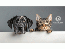 Παγκόσμια Ημέρα ζώων 4 Οκτωβρίου – Σεμινάρια για τα παιδιά των παιδικών σταθμών, των νηπιαγωγείων και των δημοτικών σχολείων Βύρωνα