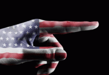 Δελφίνοι και γιουσουφάκια