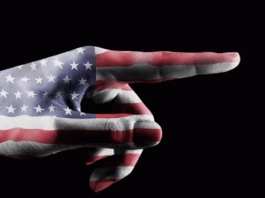 Δελφίνοι και γιουσουφάκια