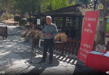 Ο Δήμαρχος Ηλίας Σταμέλος σε εκδήλωση που συνδιοργάνωσαν ο Δήμος Καισαριανής και η Ελληνική Φιλοζωική Εταιρεία την Κυριακή στα «Ξύλινα»