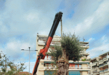 Καισαριανή: ΔΕΝΤΡΟΦΥΤΕΥΣΗ ΣΤΗΝ ΠΛΑΤΕΙΑ ΠΑΝΑΓΙΩΤΗ ΜΑΚΡΗ
