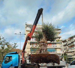 Καισαριανή: ΔΕΝΤΡΟΦΥΤΕΥΣΗ ΣΤΗΝ ΠΛΑΤΕΙΑ ΠΑΝΑΓΙΩΤΗ ΜΑΚΡΗ