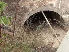 Το Ρέμα Κουταλάς που διασχίζει την Λ. Κατεχάκη καθαρίστηκε από την περιφέρεια Αττικής