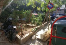 ΒΥΡΩΝΑΣ/Φωτογραφήματα: Από πεζοδρομία της πόλης και το άλσος Αγ. Τριάδας