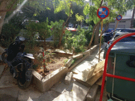 ΒΥΡΩΝΑΣ/Φωτογραφήματα: Από πεζοδρομία της πόλης και το άλσος Αγ. Τριάδας