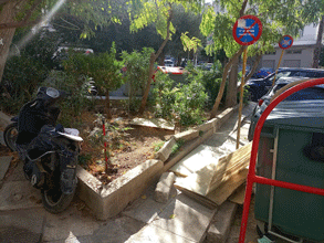 ΒΥΡΩΝΑΣ/Φωτογραφήματα: Από πεζοδρομία της πόλης και το άλσος Αγ. Τριάδας