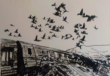 EDITORIAL – Φύλλο #38