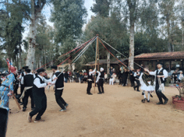 ΤΟ ΓΑΪΤΑΝΑΚΙ ΜΠΟΥΡΑΝΙ ΣΤΗΝ ΚΑΙΣΑΡΙΑΝΗ