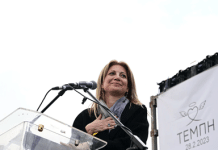 Καρυστιανού για συγκεντρώσεις: Άγγιξαν τις καρδιές όλων μας, όχι όμως και των υπευθύνων για την κατάντια της χώρας