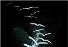 Παγκόσμια Ημέρα Ποίησης