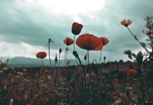 Τι τρώμε την Πρωτομαγιά – Τα έθιμα και οι εκδηλώσεις σήμερα