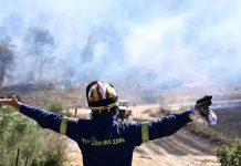 Στο ίδιο έργο θεατές!