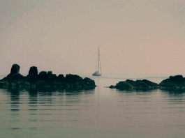 Στην πιο όμορφη θάλασσα… Του Σπύρου Τζόκα*