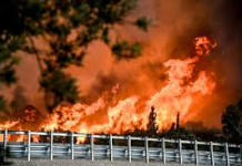 ΠΥΡΙΝΗ ΚΑΤΑΣΤΡΟΦΗ: Κάθε χρόνο μας λένε ότι πήρανε μαθήματα από την προηγούμενη χρονιά, αλλά η καταστροφή συνεχίζεται