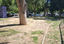 Καισαριανή: Βανδαλισμός υποδομών του Δήμου από αγνώστους