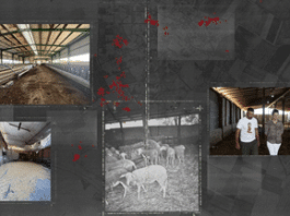 🔎 Η Ελλάδα αρνήθηκε το εμβόλιο της ΕΕ – Η ευλογιά εξαπλώνεται.– SOLOMON