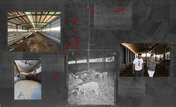 🔎 Η Ελλάδα αρνήθηκε το εμβόλιο της ΕΕ – Η ευλογιά εξαπλώνεται.– SOLOMON