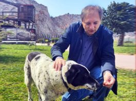 ΑΛΕΞΗΣ ΣΩΤΗΡΟΠΟΥΛΟΣ: Ο δήμαρχος που διάλεξε να μείνει άνθρωπος!