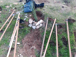 Δενδροφύτευση στον Δήμο Βύρωνα. Του Βασίλη Παπαστεργιόπουλου 4