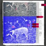 «Παραμύθια», χαρακτήρισε η κυβέρνηση την έρευνά μας. Να τα έγγραφα.– SOLOMON