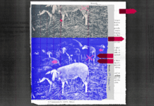 «Παραμύθια», χαρακτήρισε η κυβέρνηση την έρευνά μας. Να τα έγγραφα.– SOLOMON