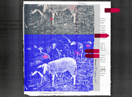 «Παραμύθια», χαρακτήρισε η κυβέρνηση την έρευνά μας. Να τα έγγραφα.– SOLOMON