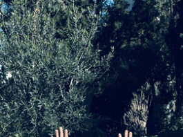 Δήμος Βϋρωνα: Ο κόσμος του κήπου! Τρεις Κυριακές γεμάτες Δημιουργία, Έρευνα & Κοινωνικές δράσεις!