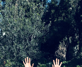 Δήμος Βϋρωνα: Ο κόσμος του κήπου! Τρεις Κυριακές γεμάτες Δημιουργία, Έρευνα & Κοινωνικές δράσεις!