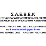 Νέο ΔΣ ΣΑΕΒΕΚ